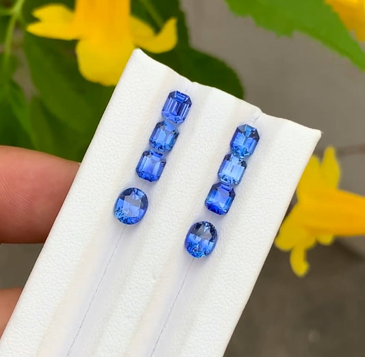 Nature Bight Blue Sapphires for Earrings